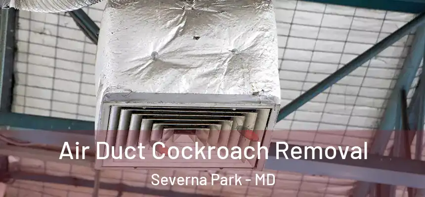 Air Duct Cockroach Removal Severna Park - MD