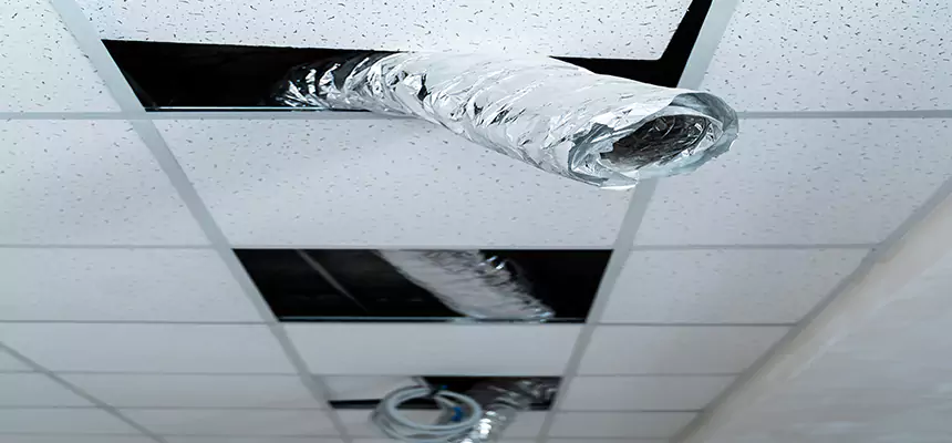 Affordable HVAC Sanitizing After Pest Removal in Severna Park