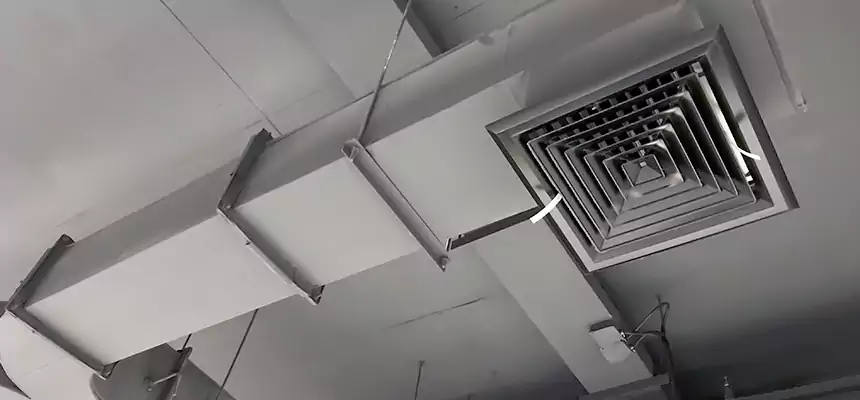 Restorative Allergy Relief Vent Cleaning – Coil, Blower & Housing Detail in Severna Park