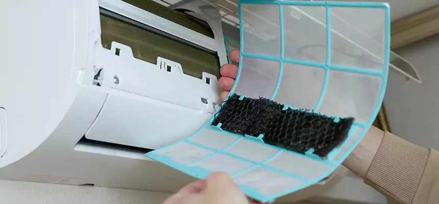 Gentle Ductwork Odor-Control Pet Dander Duct Cleaning in Severna Park, MD