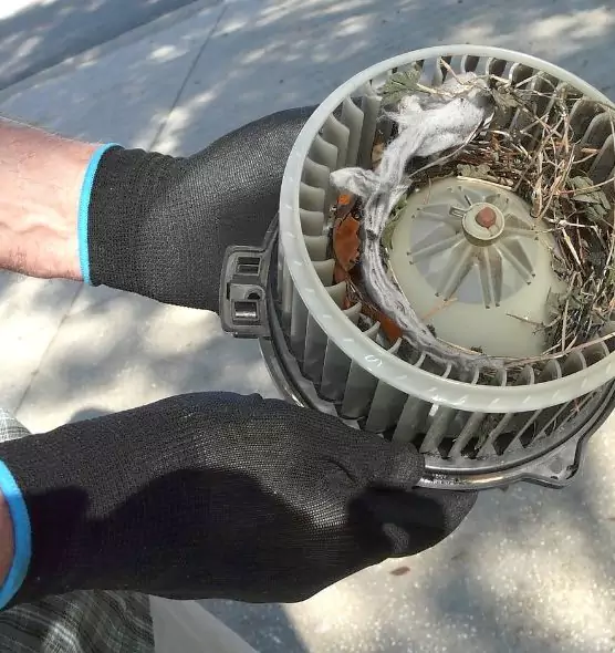 About Air Duct Mice Removal in Severna Park, MD