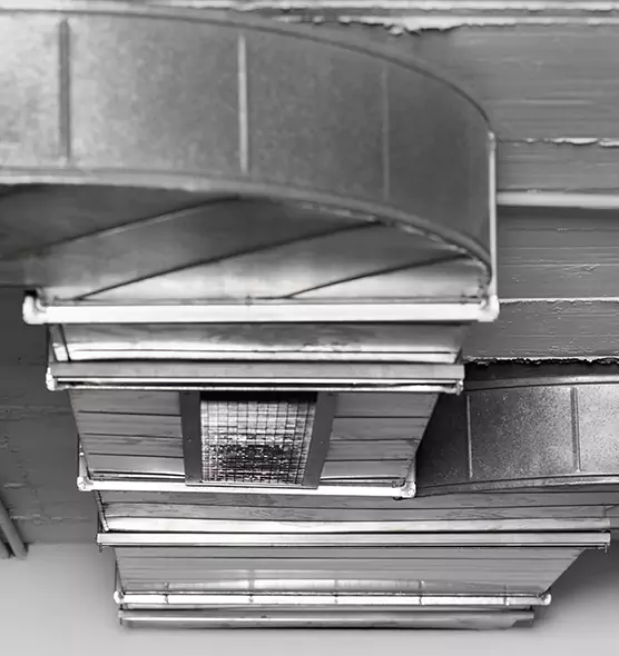 Professional Air Duct Pest Removal in Severna Park, MD