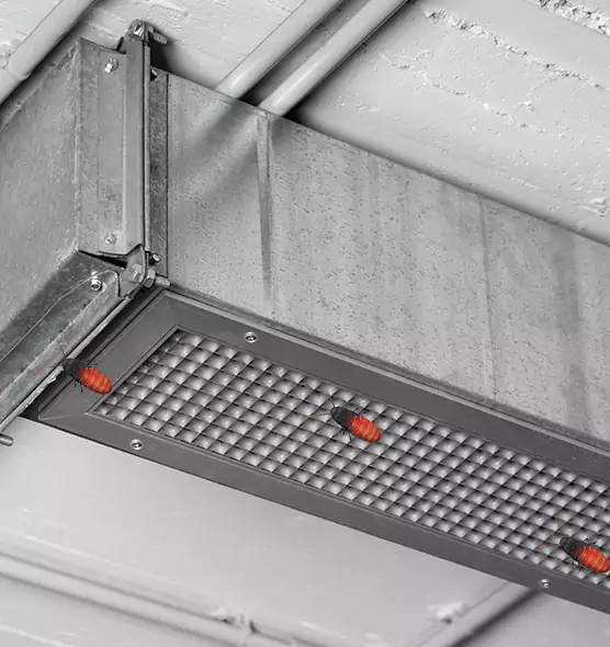 Affordable Insect Removal from Air Ducts in Severna Park, MD